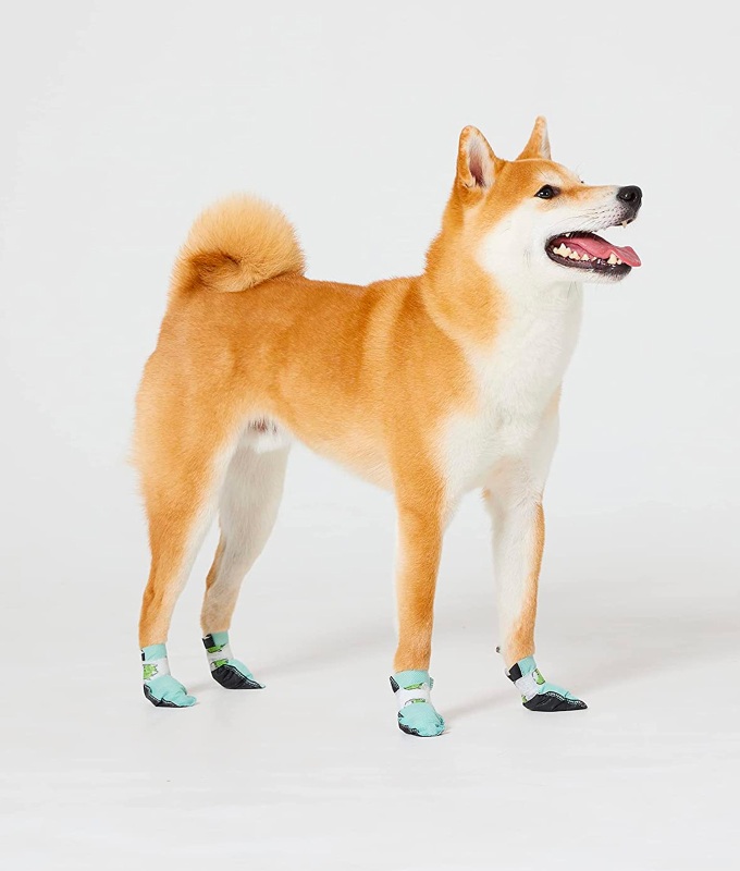 how hot is too hot to walk a dog booties