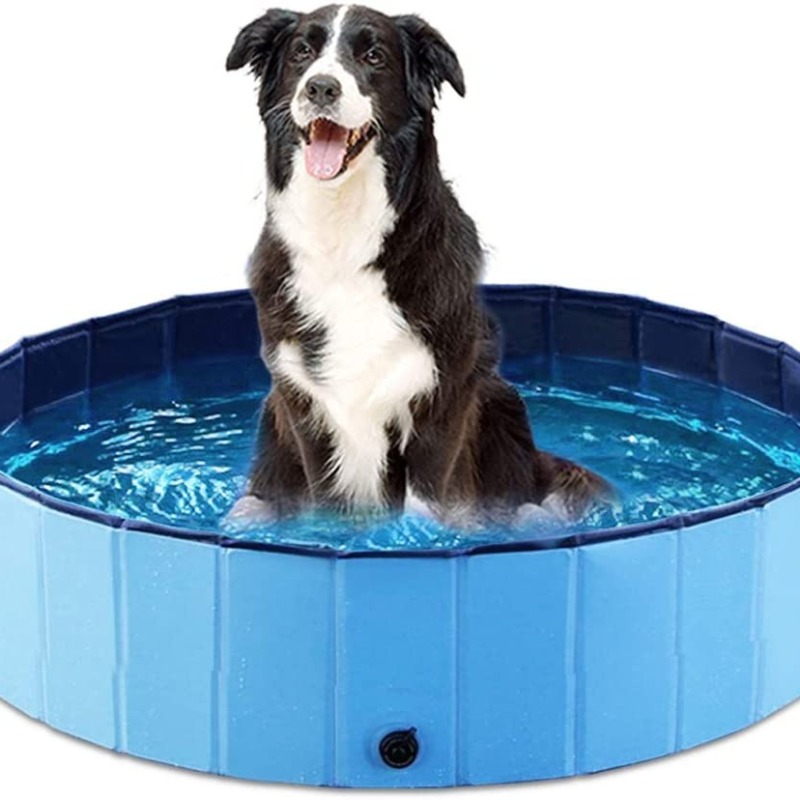 how hot is too hot to walk a dog dog pool