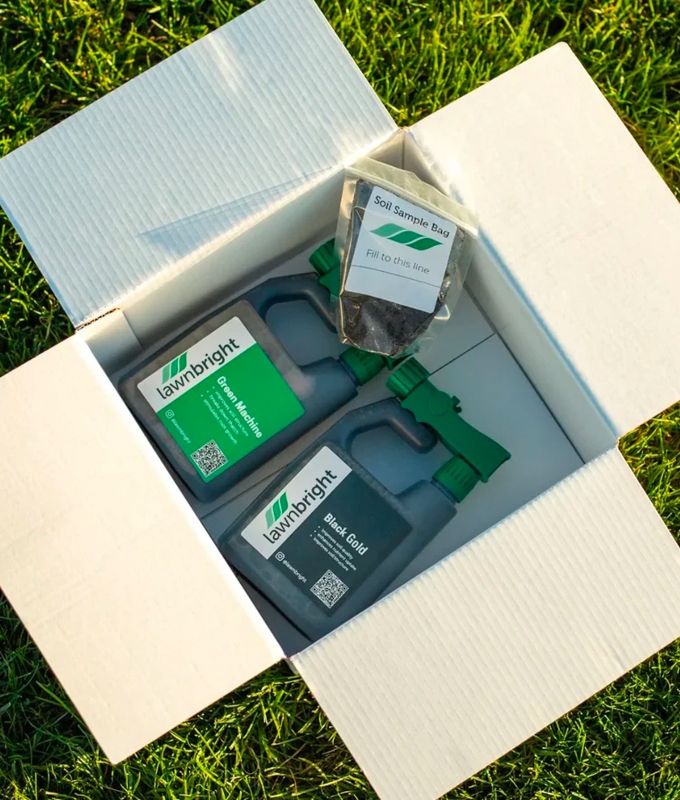last-minute fathers day gifts: Lawnbright Subscription